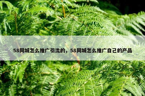 58同城怎么推广引流的，58同城怎么推广自己的产品