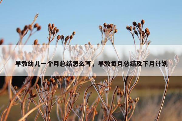 早教幼儿一个月总结怎么写，早教每月总结及下月计划