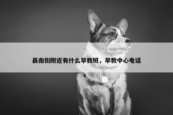 县南街附近有什么早教班，早教中心电话