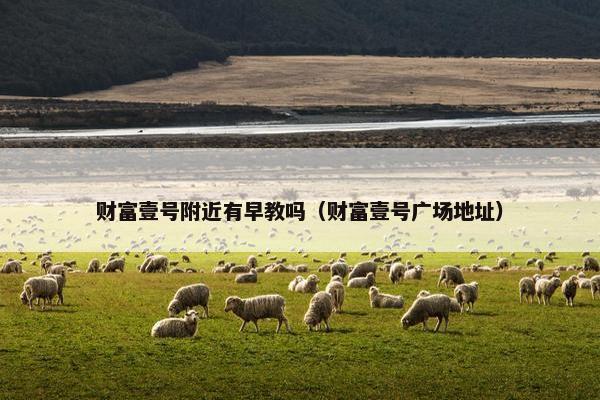 财富壹号附近有早教吗（财富壹号广场地址）