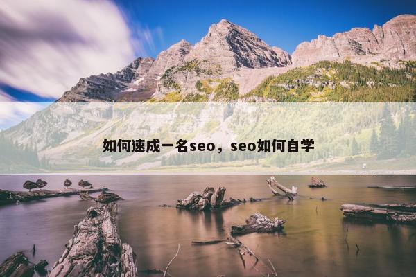 如何速成一名seo，seo如何自学