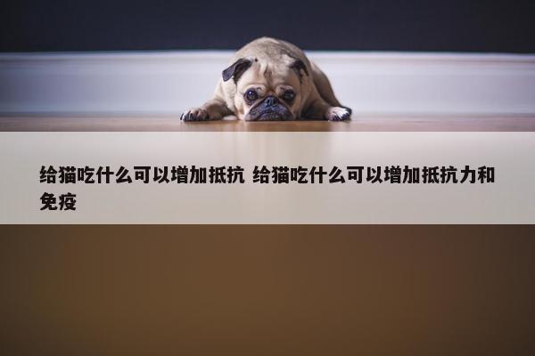 给猫吃什么可以增加抵抗 给猫吃什么可以增加抵抗力和免疫