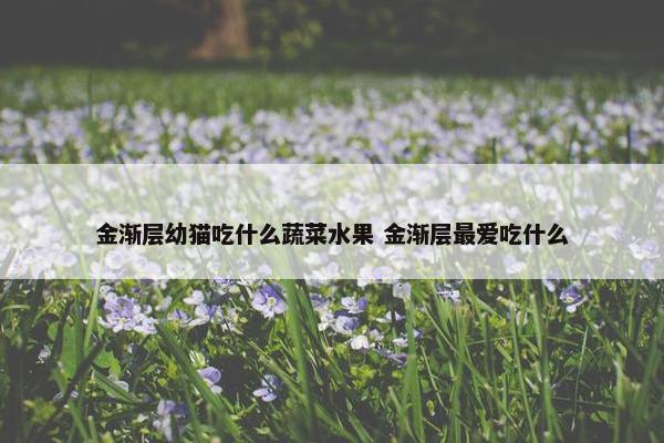 金渐层幼猫吃什么蔬菜水果 金渐层最爱吃什么