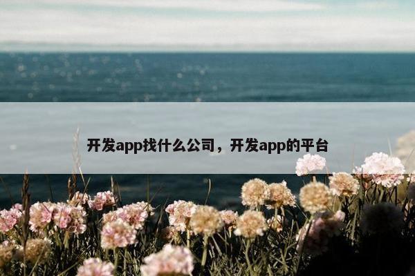 开发app找什么公司，开发app的平台