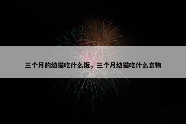 三个月的幼猫吃什么饭，三个月幼猫吃什么食物