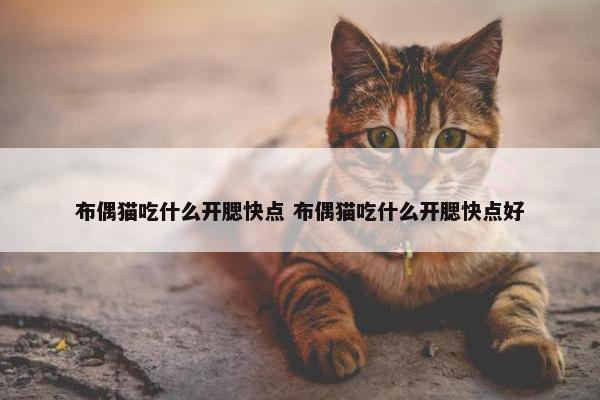 布偶猫吃什么开腮快点 布偶猫吃什么开腮快点好