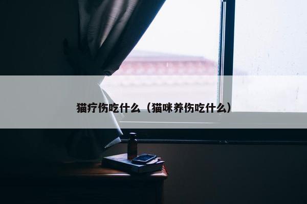 猫疗伤吃什么（猫咪养伤吃什么）