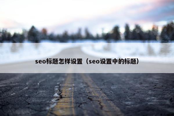 seo标题怎样设置（seo设置中的标题）