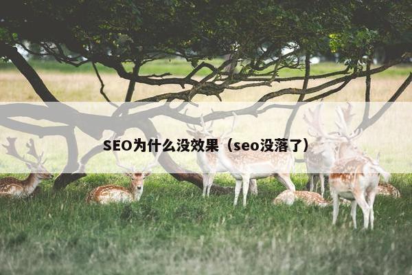 SEO为什么没效果（seo没落了）