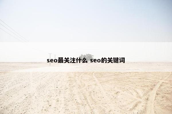 seo最关注什么 seo的关键词