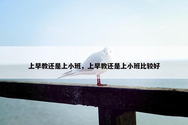 上早教还是上小班，上早教还是上小班比较好