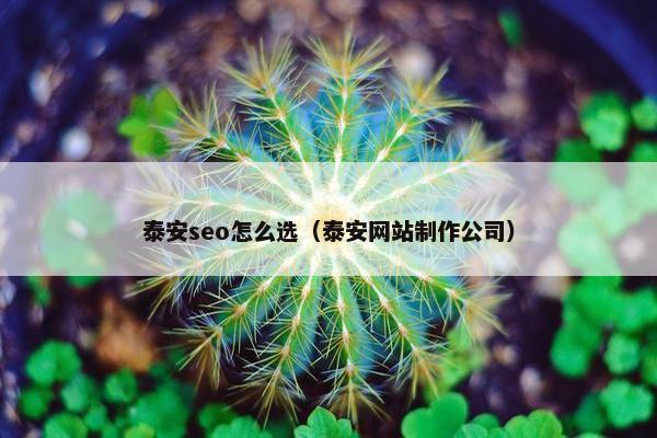 泰安seo怎么选（泰安网站制作公司）