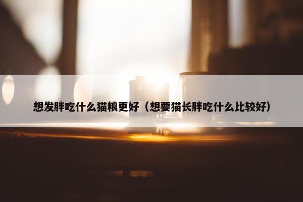 想发胖吃什么猫粮更好（想要猫长胖吃什么比较好）