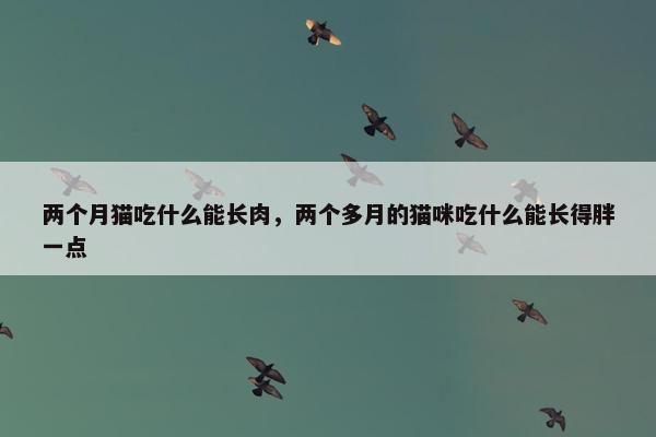 两个月猫吃什么能长肉，两个多月的猫咪吃什么能长得胖一点