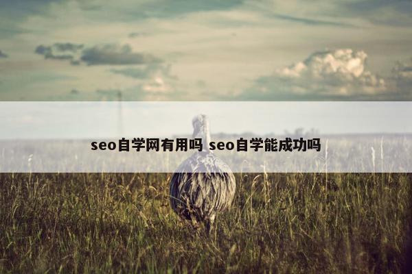 seo自学网有用吗 seo自学能成功吗