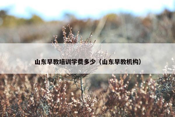 山东早教培训学费多少（山东早教机构）