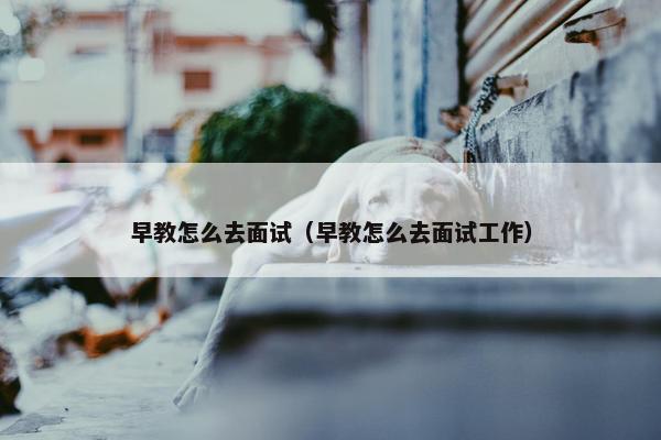 早教怎么去面试（早教怎么去面试工作）