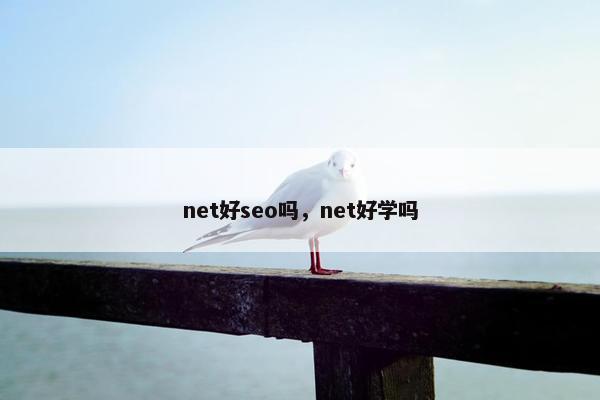 net好seo吗，net好学吗