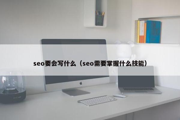 seo要会写什么（seo需要掌握什么技能）