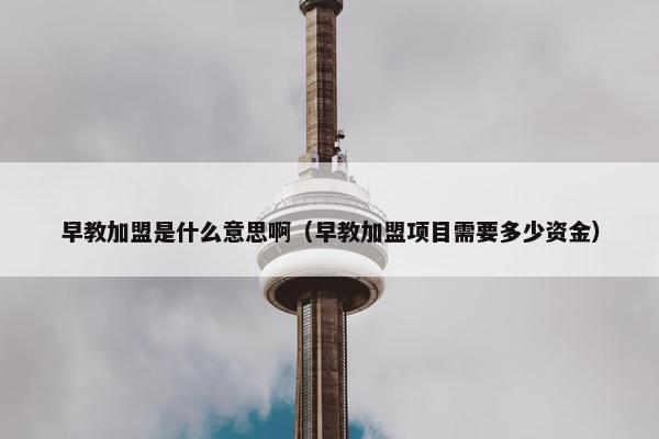 早教加盟是什么意思啊（早教加盟项目需要多少资金）