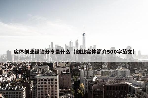 实体创业经验分享是什么（创业实体简介500字范文）