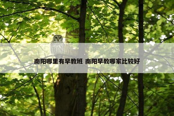 南阳哪里有早教班 南阳早教哪家比较好