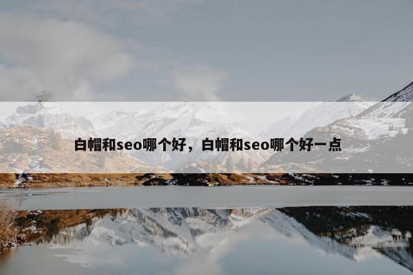 白帽和seo哪个好，白帽和seo哪个好一点