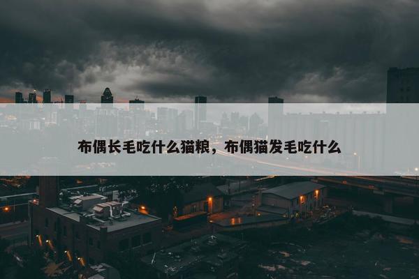 布偶长毛吃什么猫粮，布偶猫发毛吃什么