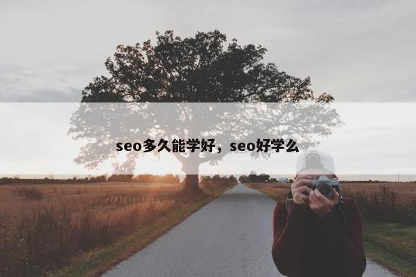 seo多久能学好，seo好学么