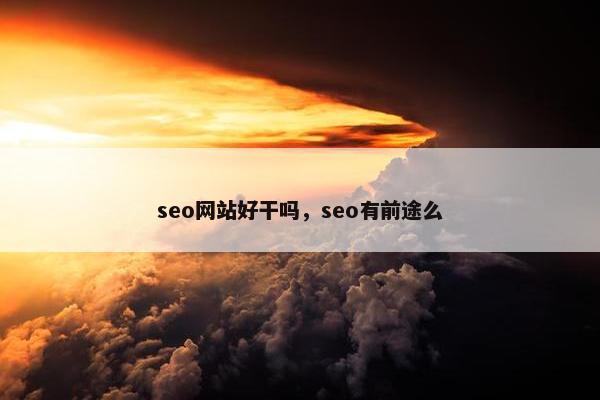 seo网站好干吗，seo有前途么