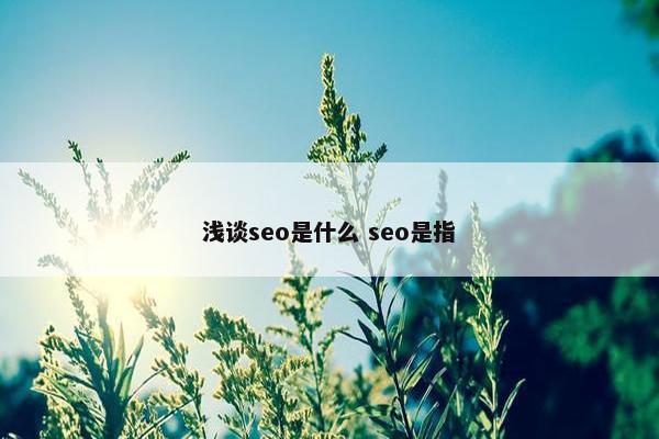 浅谈seo是什么 seo是指