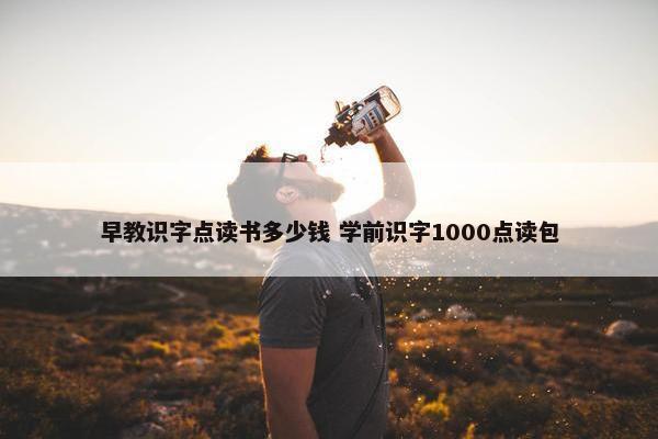 早教识字点读书多少钱 学前识字1000点读包