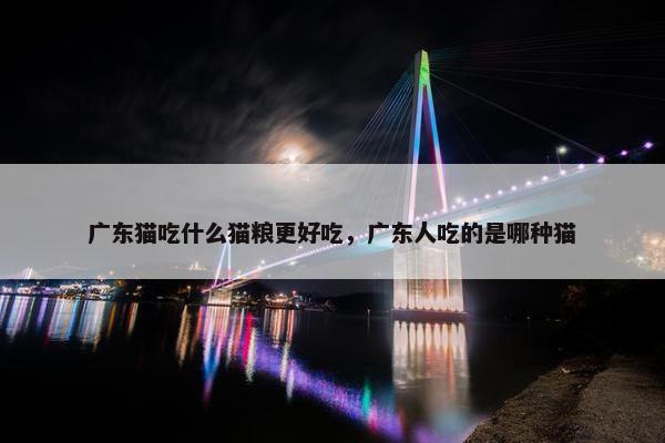 广东猫吃什么猫粮更好吃，广东人吃的是哪种猫