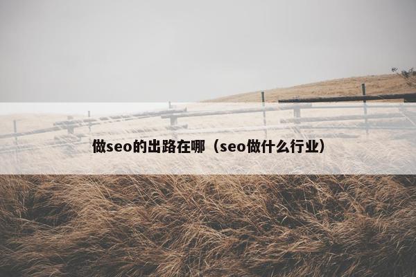 做seo的出路在哪（seo做什么行业）