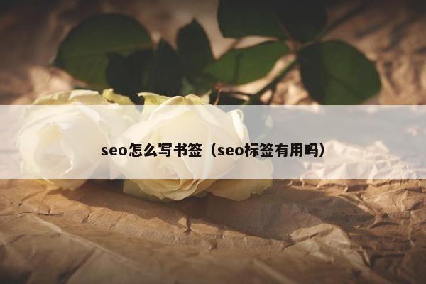 seo怎么写书签（seo标签有用吗）