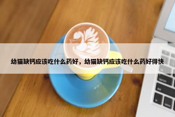 幼猫缺钙应该吃什么药好，幼猫缺钙应该吃什么药好得快