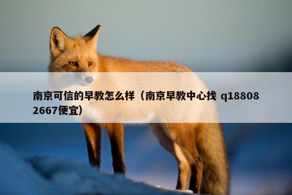 南京可信的早教怎么样（南京早教中心找 q188082667便宜）