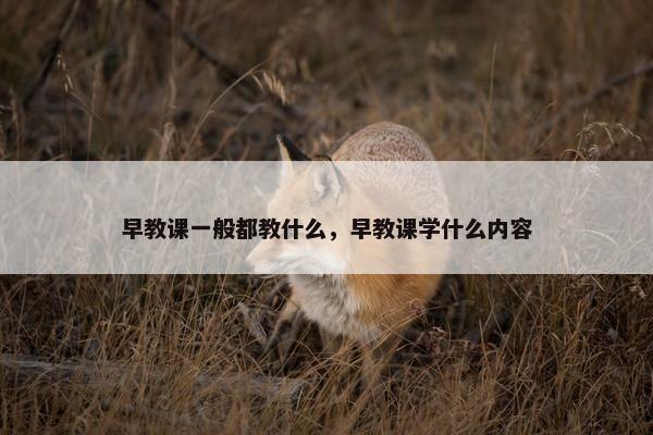 早教课一般都教什么，早教课学什么内容