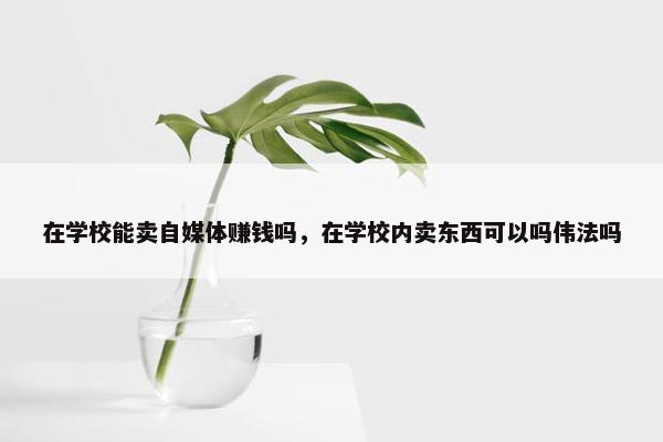 在学校能卖自媒体赚钱吗，在学校内卖东西可以吗伟法吗