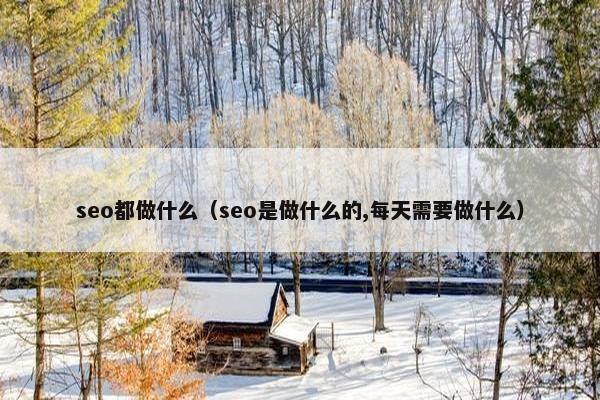 seo都做什么（seo是做什么的,每天需要做什么）