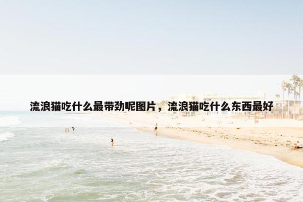 流浪猫吃什么最带劲呢图片，流浪猫吃什么东西最好