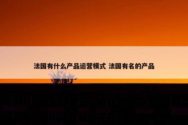 法国有什么产品运营模式 法国有名的产品