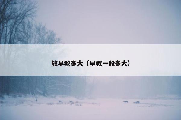 放早教多大（早教一般多大）