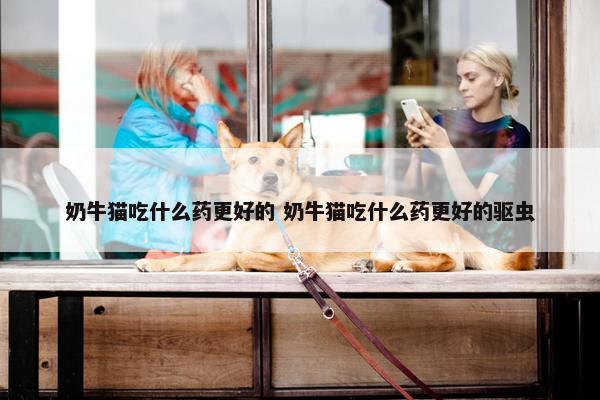 奶牛猫吃什么药更好的 奶牛猫吃什么药更好的驱虫