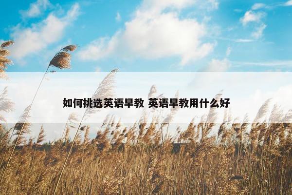 如何挑选英语早教 英语早教用什么好