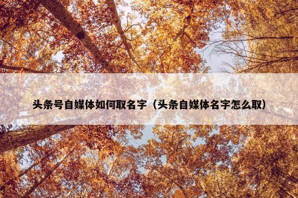 头条号自媒体如何取名字（头条自媒体名字怎么取）