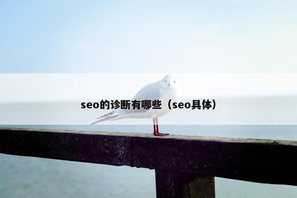 seo的诊断有哪些（seo具体）