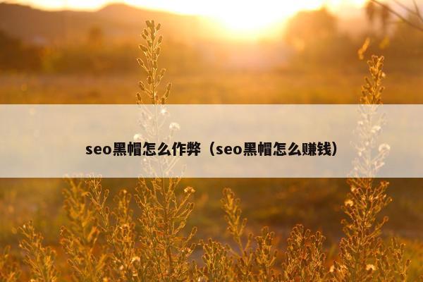 seo黑帽怎么作弊（seo黑帽怎么赚钱）