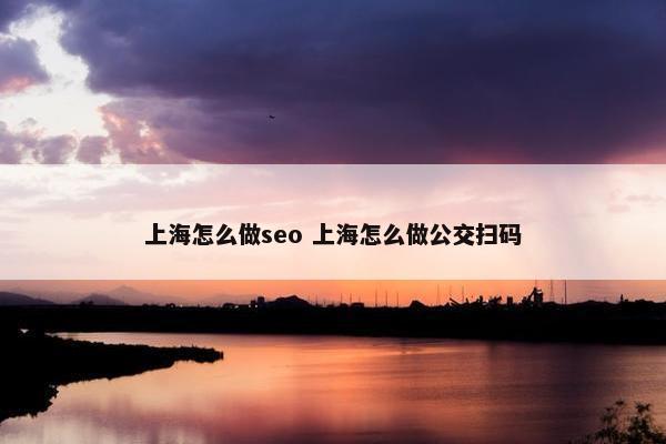 上海怎么做seo 上海怎么做公交扫码