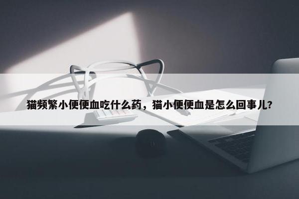 猫频繁小便便血吃什么药，猫小便便血是怎么回事儿?